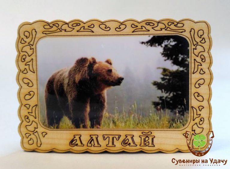 Магнит фото кедровый "Медведь 1"
