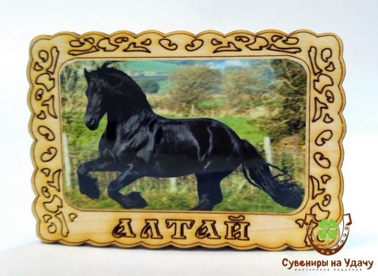 Магнит фото кедровый "Черный конь"